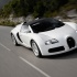 Bugatti Veyron Grand Sport - серебристый в движении